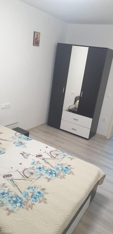 Maya'S Apartament Brasovアパートメント エクステリア 写真